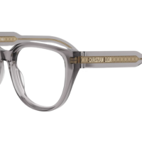 DIOR PrismeO B1I